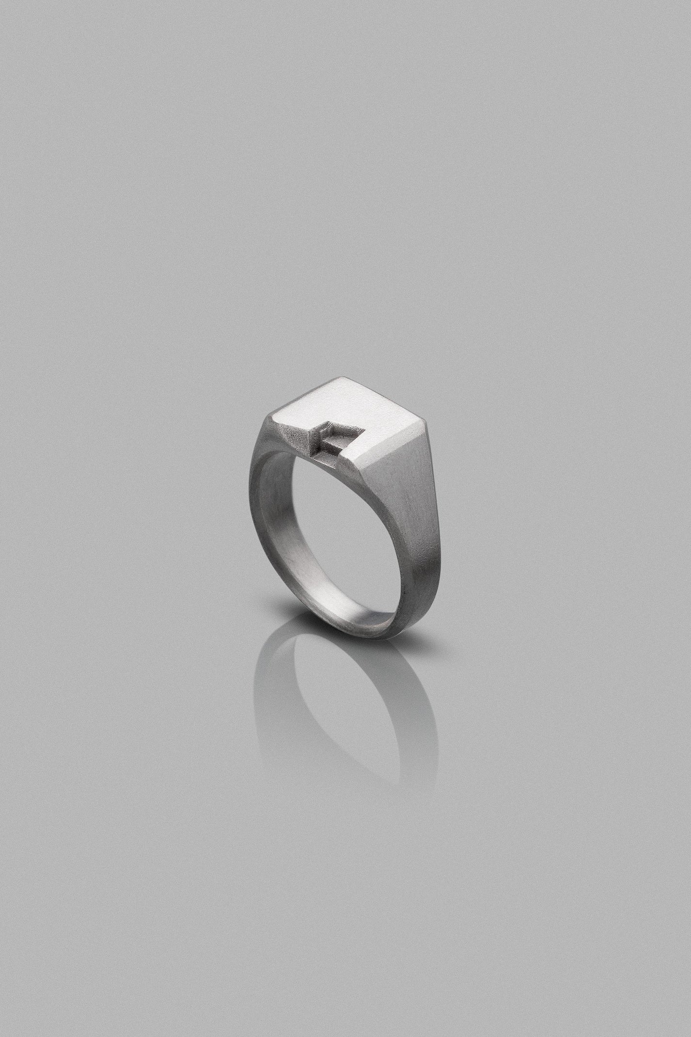 TERRAD-RING