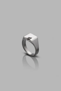 TERRAD-RING