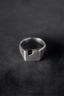 TERRAD-RING